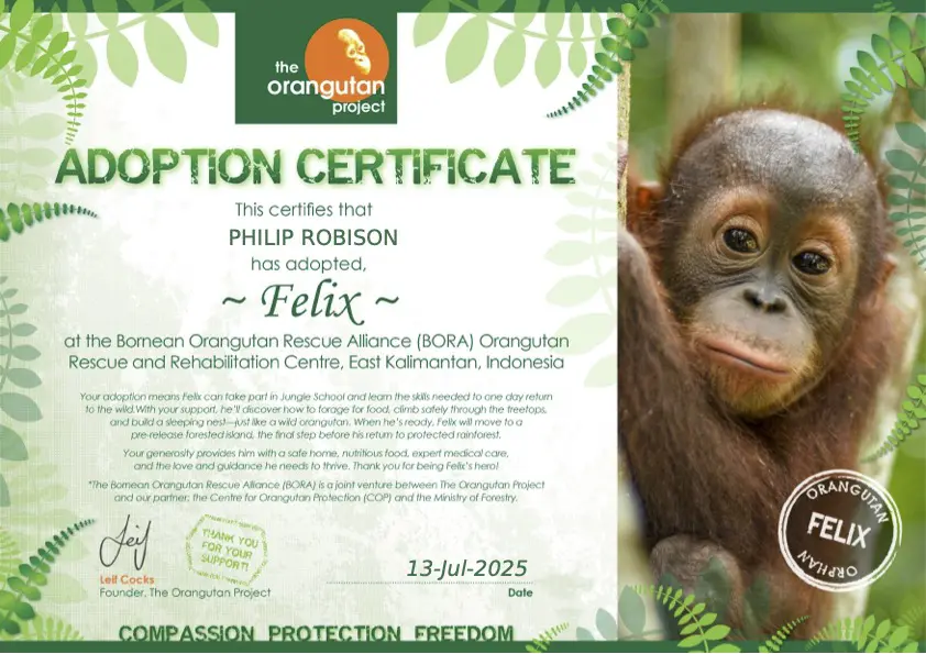 Orangutan adoption certificate